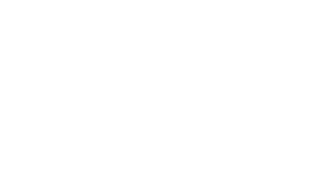 Blu Foundation